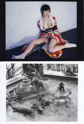 Nobuyoshi Araki Artist News Exhibitions Photography Now