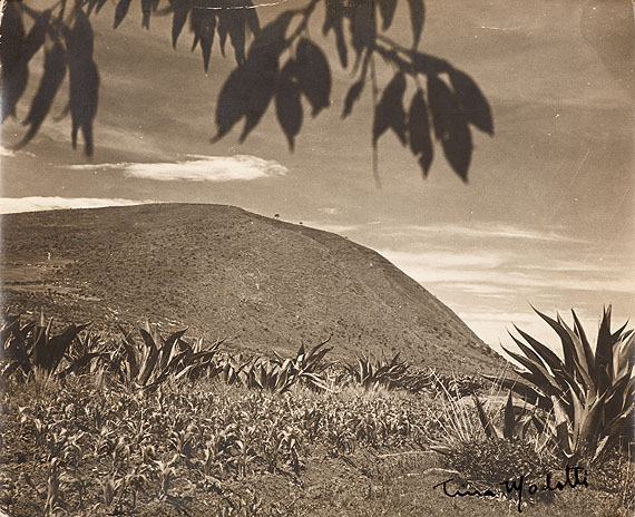 LOT 1043Tina Modotti (1896–1942) Vintage silver print Landscape, Mexico c. 1926Opening bid: EUR 12,000