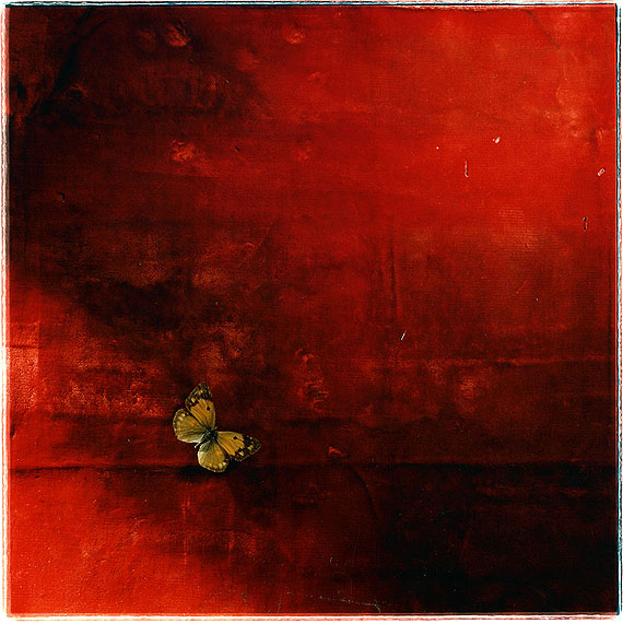 Toni CatanyNatura morta 123, 1986Edition of 10,50 x 50 cm© Toni Catany