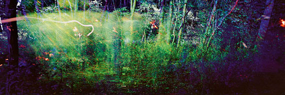 André Wagner: laser forest (2011), 60 x 180 cm, from the series sound rooms © André Wagner