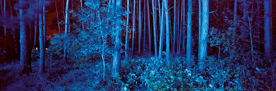 André Wagner: blue forest (2010), 60 x 180 cm, from the series sound rooms © André Wagner