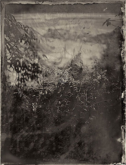"Simple Song #51: Flower on Riverside" (2012) Pigment print on fiber paper from collodion wet plate. 30x 21cm - Ed. of 20; 147.3 x 111.8cm - Ed. of 8.©Luo Dan. Courtesy M97 Gallery.