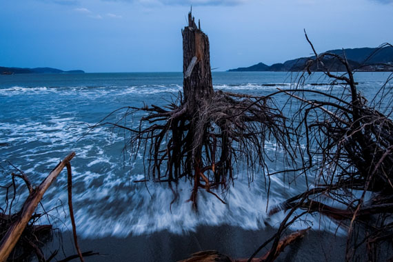 © Daniel Berehulak: Australien, Getty ImagesEin Jahr nach dem Tsunami am Strand von Rikuzentakata, Japan
