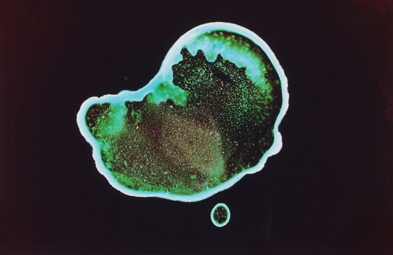 Ralf Cohen: Insel, 2013 -  Farbe auf Glas, C-Print, 60 x 94 cm