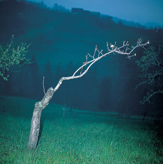 MANFRED WILLMANNUntitled, from the series "Das Land"1995archival inkjet print, ed. 1270 x 70 cm