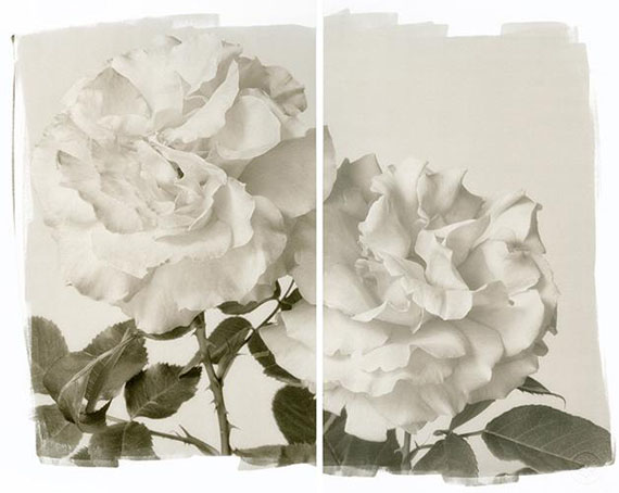 Brigitte CarnochanTWO ROSES, 2011Platinum Palladium Print