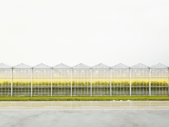 Henrik Spohler: Gewächshaus mit Tomatenpflanzen, 2011, 70 x 90 cm, Pigmentprint © Henrik Spohler
