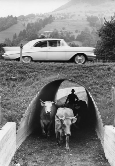 "Eine Strassenunterführung fürs Vieh", 1964 Foto Arnold Odermatt, Stans 