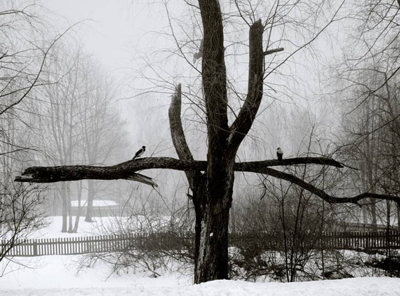 Pentti Sammallahti: Ristisaari, Finnland, 1974. Courtesy Galerie Albrecht, Berlin