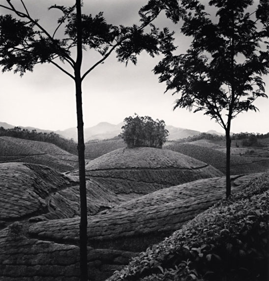 Michael KennaTea Estates, Study 1, Munnar, India 2008Edition von 45Silver Gelatin Print20 x 20 cm© Michael Kenna / Courtesy of Bernheimer Fine Art Photography