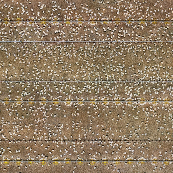 Andreas Gefeller: Ohne Titel (Hühnerzucht), aus Supervisions, 2004, 160 x 253 cm, Lightjetprint, Diasec (Detail)