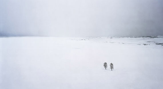 Thomas Wrede: Bäume im Schnee, 2010, 95 x 170 cm