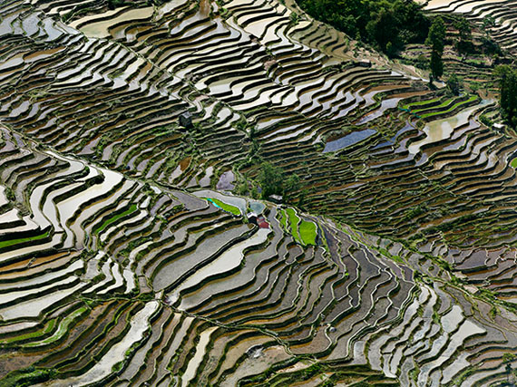 EDWARD BURTYNSKYRice Terraces #3a & 3b, Western Yunnan Province, China (a), 2012C-Print 39 x 52 inches / 99,1 x 132,1 cm