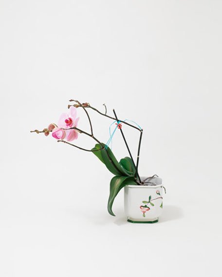Nele Gülck „Orchidee im Übertopf 1“ aus der Serie „Auf ewig"