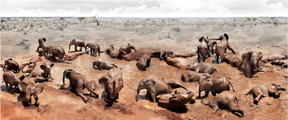 Joachim Schmeisser: Circle of Life, Kenya 2010, 250 x 117 cm