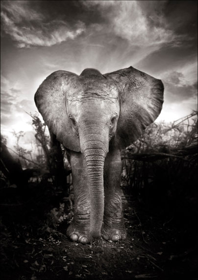 Joachim Schmeisser: Kibo, Kenya 2009, 150 x 200 cm