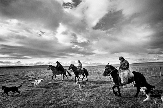 Kadir van Lohuizen: Estancia Cameron, Tierra del Fuego, Chile - ‘Sheep boys’ © Kadir van Lohuizen | NOOR