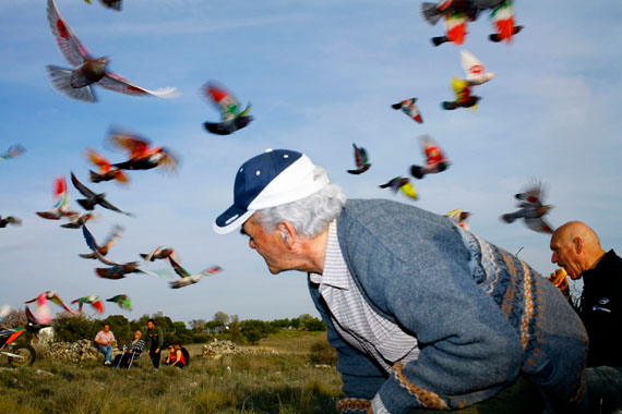 Ricardo Cases Marín: "Man surrounded by pigeons" Pigment print, 50 x 75 cm, Ed. 5