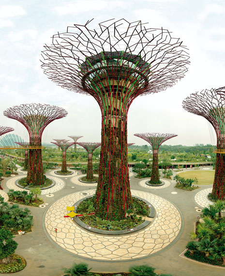 Olaf Otto Becker: Supertree Grove, Gardens by the Bay, Singapore, 10/2012
