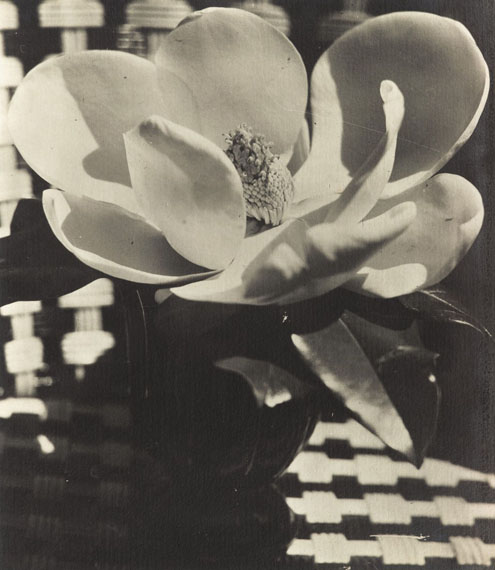 Lot No. 13Man Ray, Magnolia, 1926Silver print Estimate: €30,000-40,000