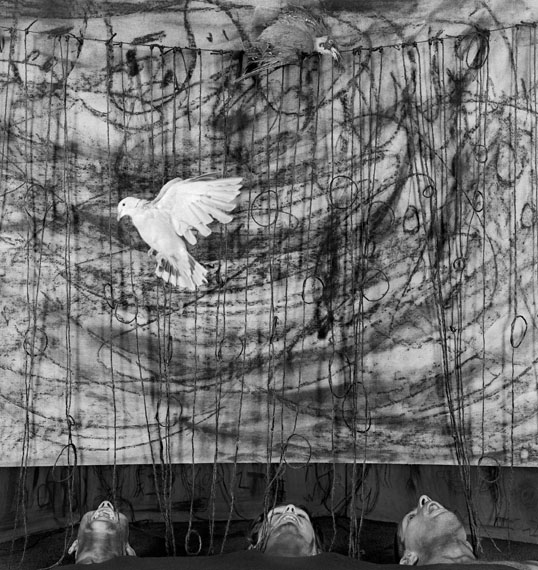 Roger Ballen, Gaping (Gähnen), 2010, aus der Serie: Asylum of the Birds © Roger Ballen