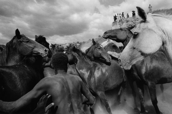 Ulrich Mack: Wildpferde in Kenia, 1964© Ulrich Mack, Hamburg / Leica Camera AG