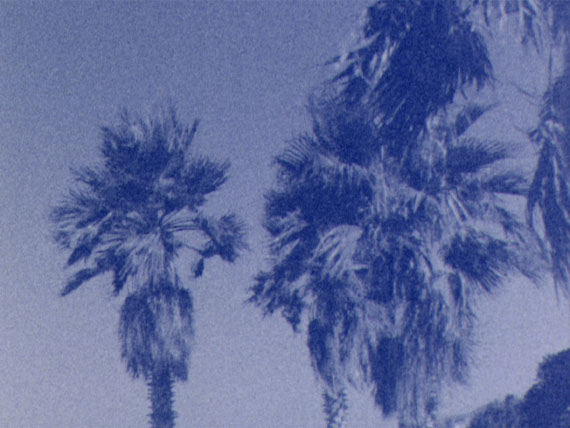Talisa Lallai
Untitled (Palm Trees) # 1, 2014
Film still
Courtesy the artist