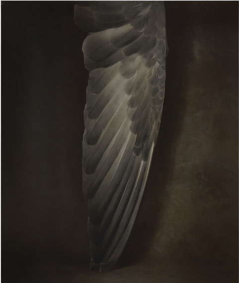 Ingar Krauss: aus der Serie "Von Pflanzen und Tieren" 2014, Fotografie auf Silbergelatinepapierhandkoloriert mit Ölfarben © Ingar Krauss
