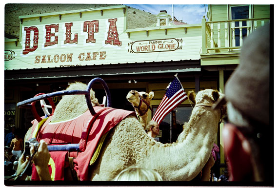 Internationales Kamel-Rennen, Nevada, 2009
© Nicolò Minerbi