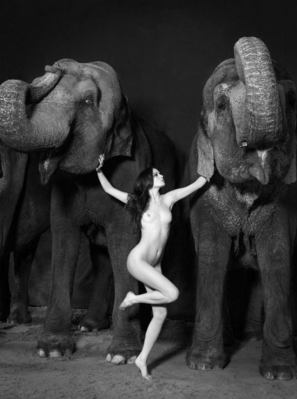 Vanessa von Zitzewitz
Dacing with Elephants I, 2014
Digital Fine Art Print