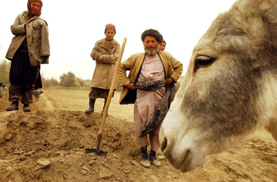 Mohammed yusef, an uzbek refugee, who works on the roads for an aid agency for 6kg of wheat a day, and who was chased from his home by the taliban, said the pastuns had black hearts. 2001 © James Hill