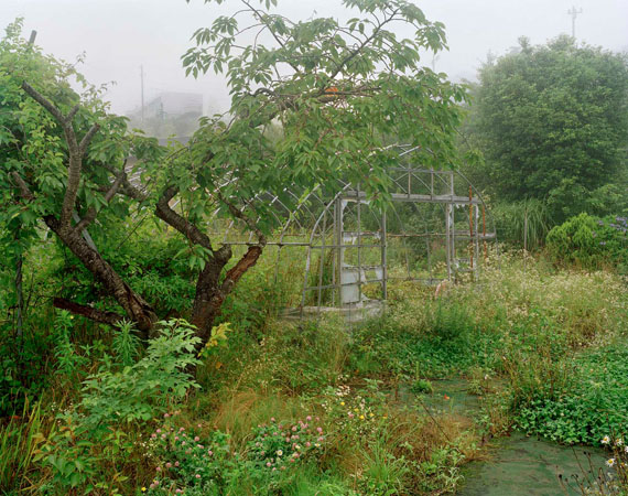 Yishay Garbasz: Overgrown garden and greenhouse, TEPCO single worker accommodation in the background, Ono, Fukushima Nuclear Exclusion Zone, 2014