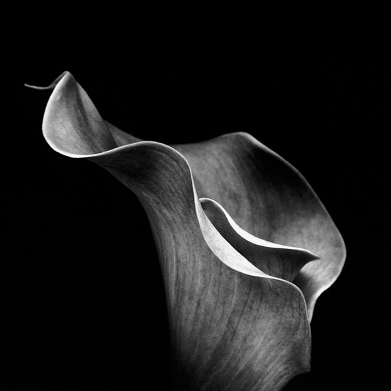 Curves, 40 x 40 cm, Limited Edition of 12, signed, Silver Gelatine Print