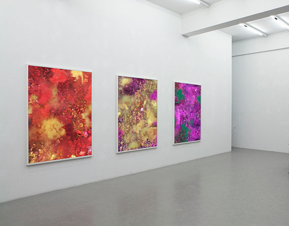 Katrin Korfmann: installation view, Kolorit (Red, Yellow, Purple) triptych, 173 x 120 cm / 68" x 47" each, 2012 Ultrachrome Print © Katrin Korfmann