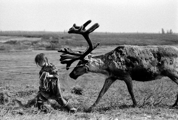 Alexander Shchemlyaev. Five-year old girl leads a deer in a sledge-bull, 1993