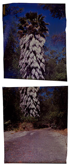 John Chiara: Verenda de la Montura at Camino (diptych), 2012, Los Angeles seriesImage on Ilfochrome paper, 85.1 x 71.1 cm (33.5 x 28 inches) each, Unique photograph