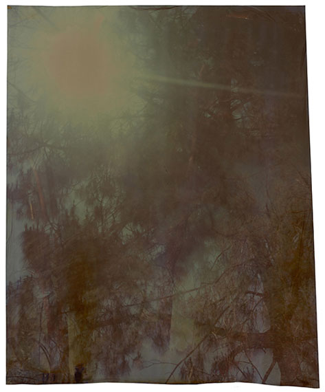 John Chiara, Mulholland: Cornell: Strauss, 2012, Los Angeles seriesImage on Ilfochrome paper, 84.5 x 66 cm (33.25 x 26 inches), Unique photograph