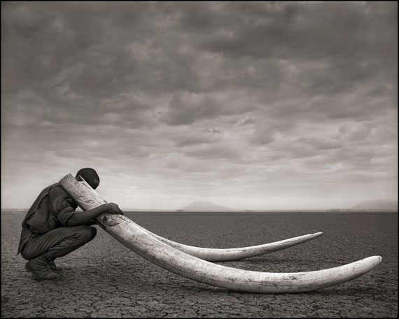 Ranger with Tusks of Killed Elephant, Amboseli 2011 © Nick Brandt