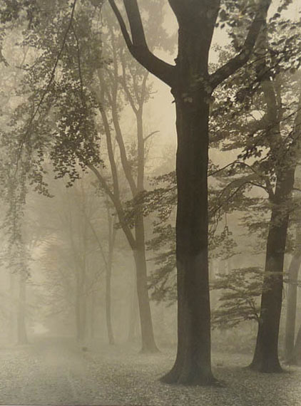 Max Baur. Im Nebel, 1930er JahreVintage Silbergelatineabzug38,3 x 28,3 cm© Nachlass Max Baur / Sammlung M.-L. Surek-Becker