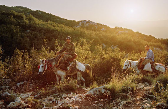 Fatih Kurceren: Zwei Männer auf Pferden suchen Lorbeerblätter auf dem Musa Dagh