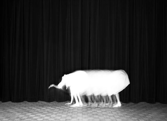Guillaume Martial, L’éléphant, from series Animalocomotion, 2015, Duratrans print and light box, 20 x 30 cm, edition of 3, © Guillaume Martial, courtesy Galerie Esther Woerdehoff