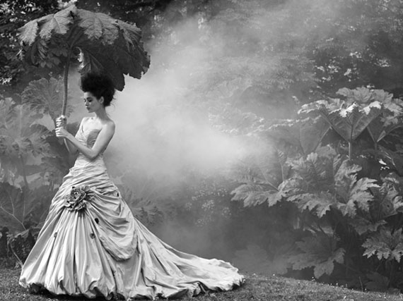 ©️ Sheila Rock, "Garden Mist"