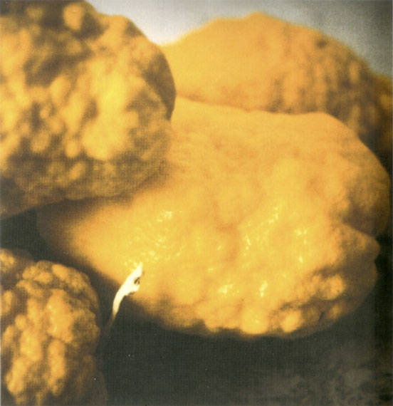 Cy TWOMBLYLemons, Gaeta, 2005Color dry-printImage : 43,1 x 27,9 cm ; framed : 60 x 41 cmSignedEdition of 6