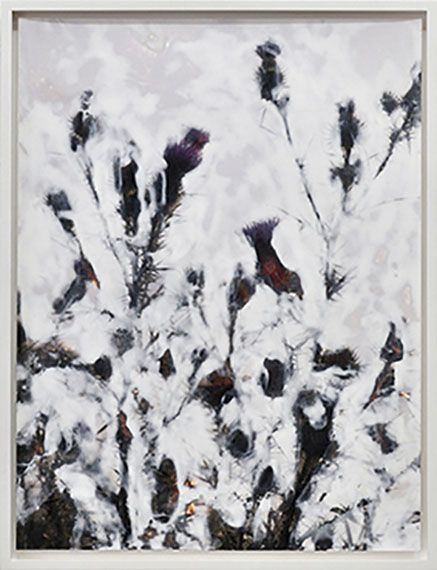 Crystal (No. 4), 2011, Sanded Print, acrylic, unique piece, 40 x 30 cm
© Elmar Vestner