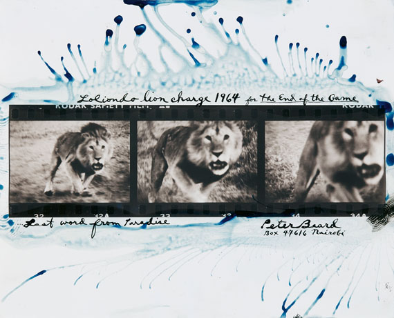 Peter BeardLoliondo Lion Charge (from the series: The End of the Game), 1964Toned and hand-colored gelatin silver print, printed later 20 x 25.1 cmUnique workEstimate € 10,000 - 12,000Lot 143 / Auction 1089 Photography 