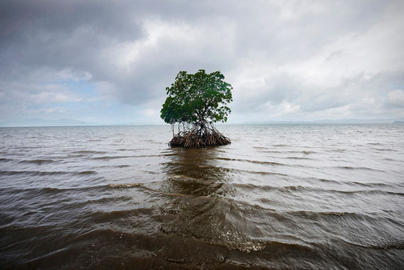 © Kadir van Lohuizen/NOOR, from the series Sea-level rise in Fiji.