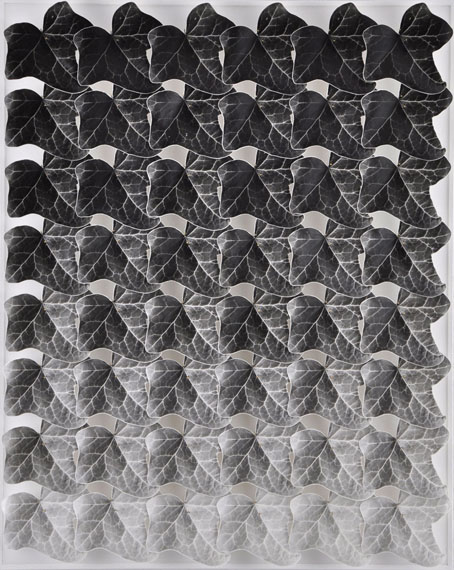 Efeu 8-4, 2016Silver Gelatine Print, 41 x 51 x 7 cm© NORIO TAKASUGI