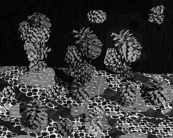 Nico Krijno: Pattern Study with Pine Cones, 2017Print size: 104 x 118,8 cm / framed 104 x 118,8 cmInkjet print on photorag paper, Amazakoë wood frame with optiwhite glassEdition of 3