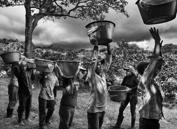 Coffee pickers. Finca La Hilda on the slopes of Poas volcano, San José region, Costa Rica, 2013© Sebastião Salgado / Amazonas images