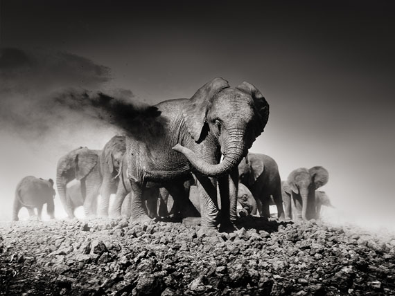 Joachim Schmeisser: "Earth I" Kenya 2013